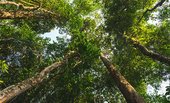 reasons-sustainability-4